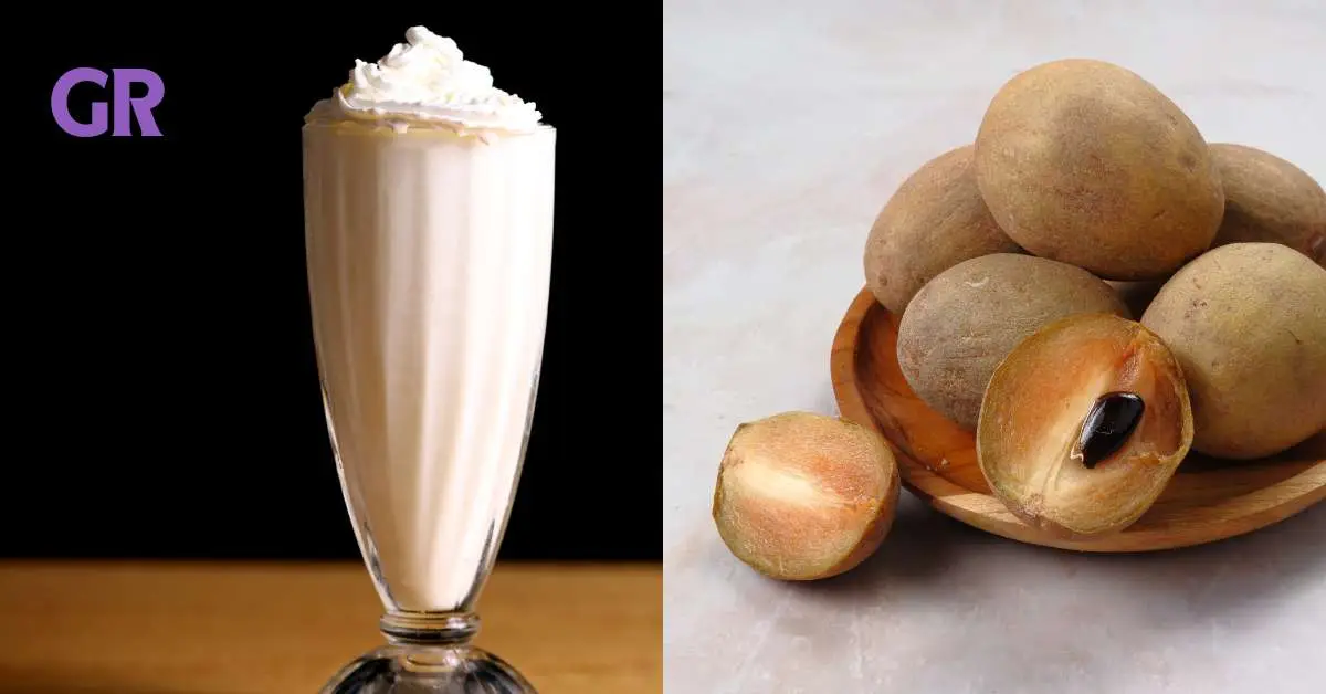 best Chikoo Milkshake Recipe 2024